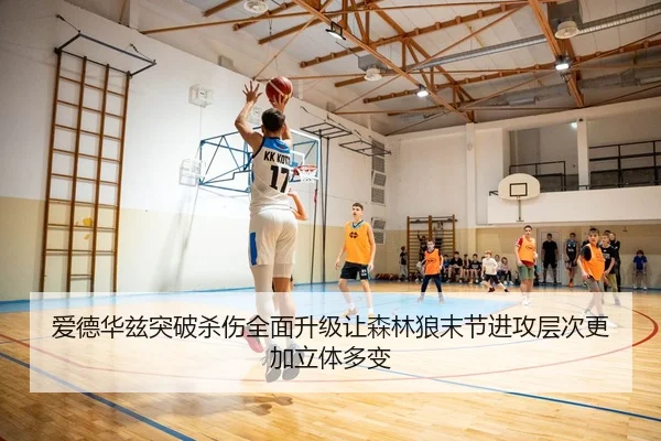 爱德华兹突破杀伤全面升级让森林狼末节进攻层次更加立体多变