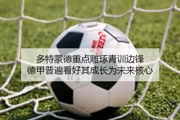 多特蒙德重点雕琢青训边锋 德甲普遍看好其成长为未来核心